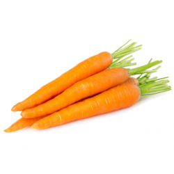 Zanahoria grande