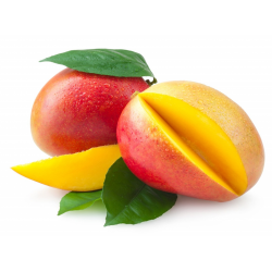Mango ORGANICO - UNIDAD